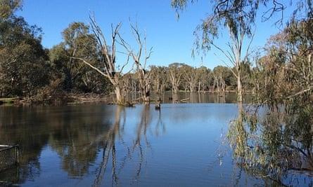 The Murray River, Albury in autumn.
