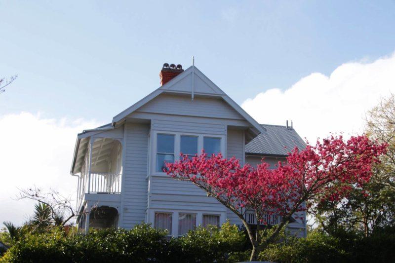 casa con fiori ad auckland