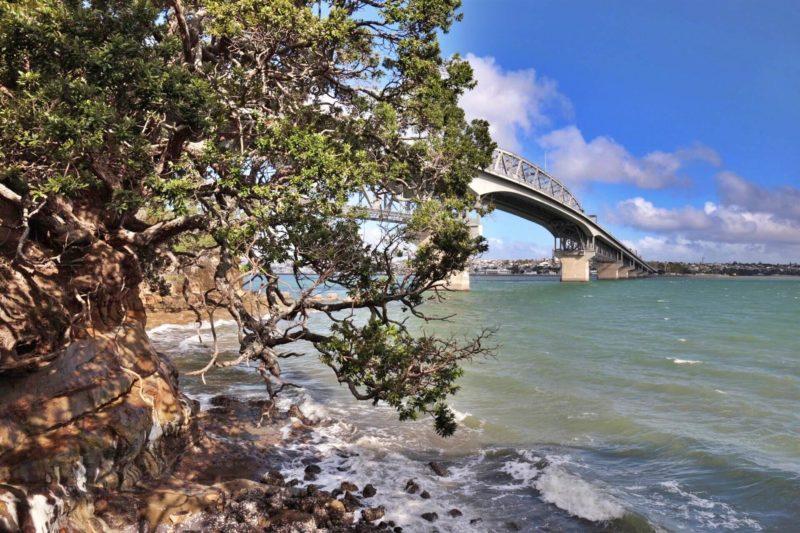 harbour bridge ad auckland-Auckland cosa vedere in 24 ore